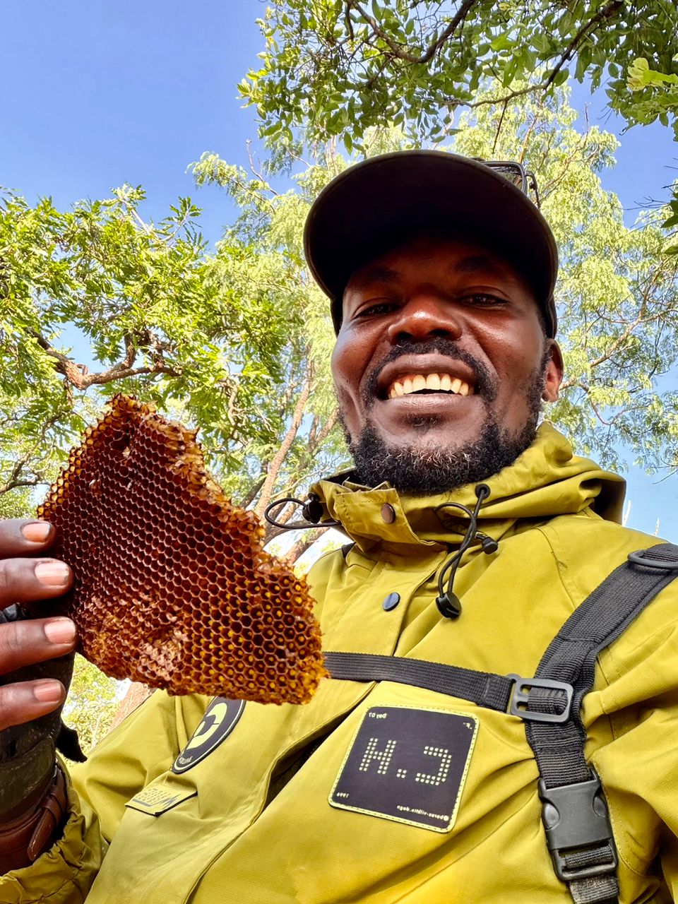 Honeycomb Field Find