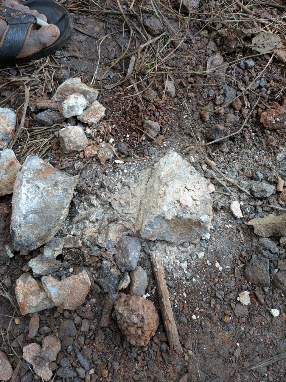 Surface Mineral Samples