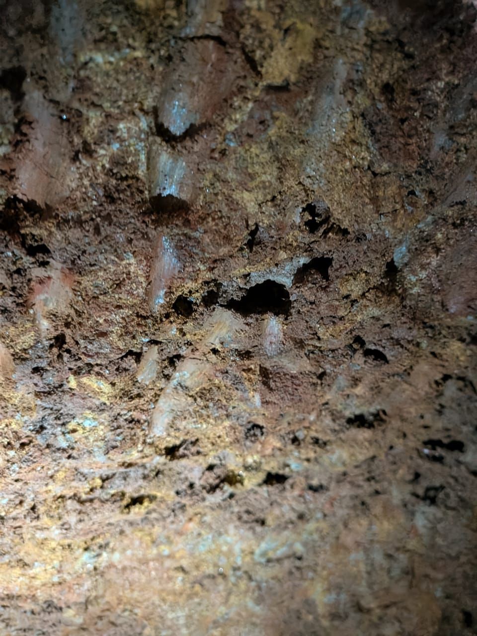 Mineralized Rock Face