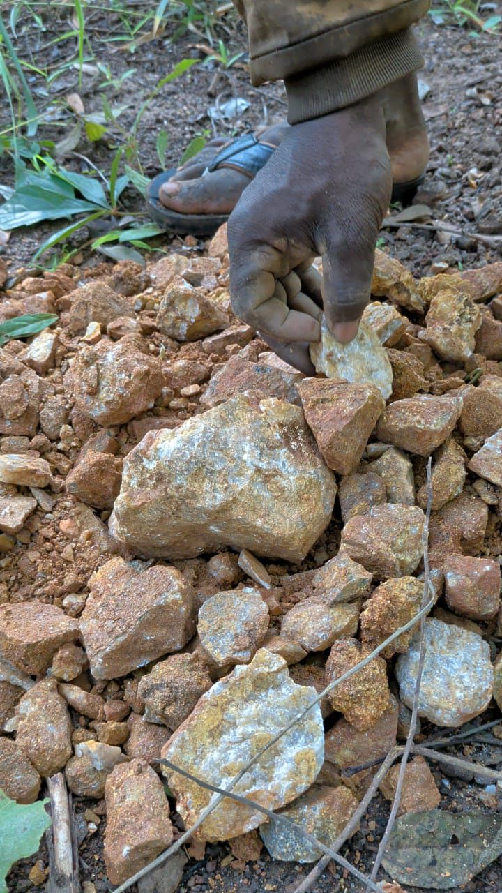 Surface Ore Samples