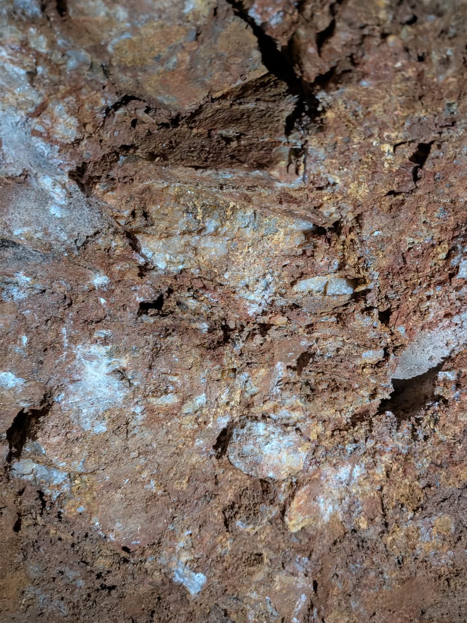 Mineralized Rock Formation