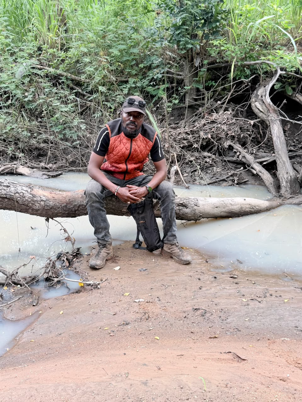 Stream Field Rest Point